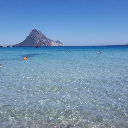 Casa Federica דירה אולביה